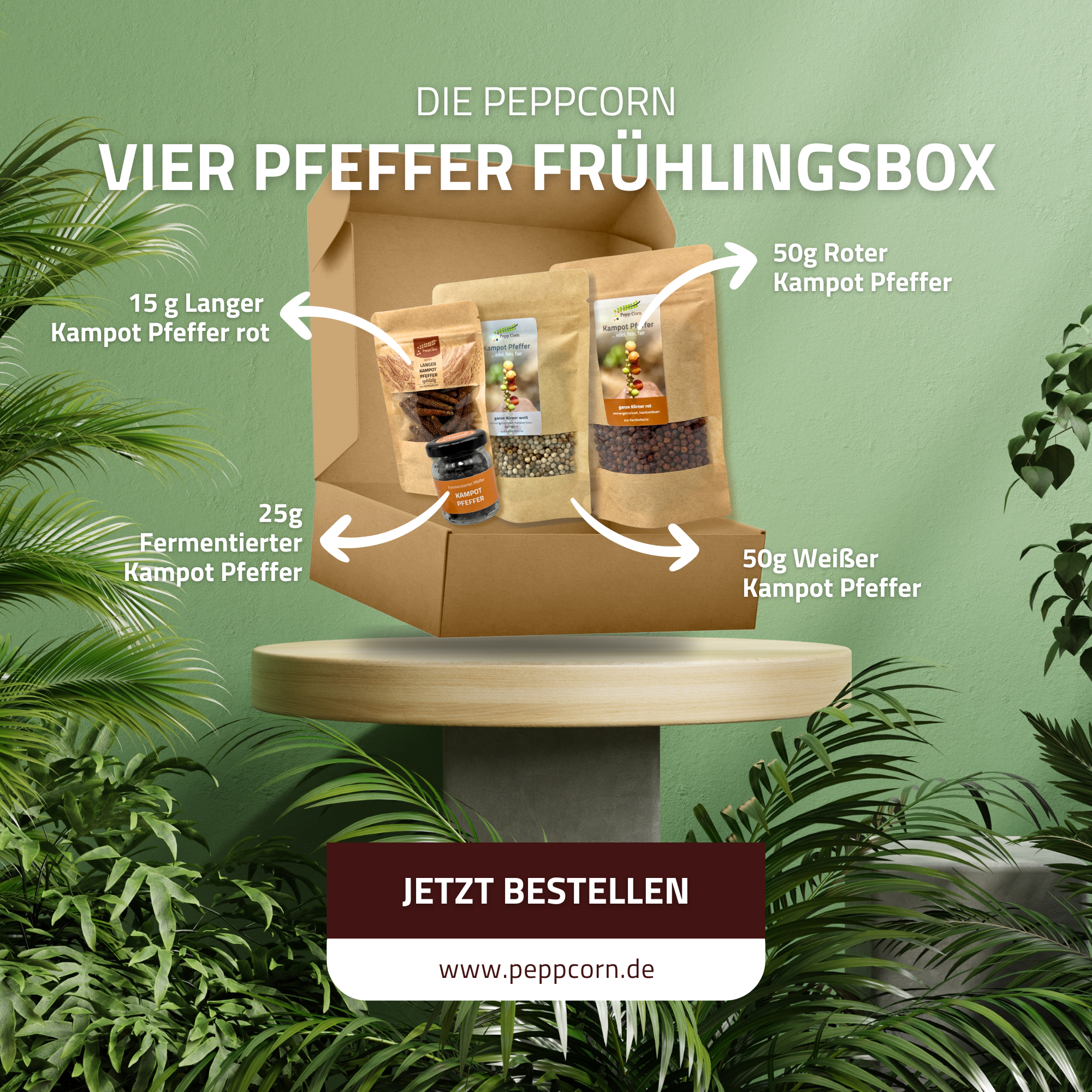 Vier Pfeffer Frühlingsbox