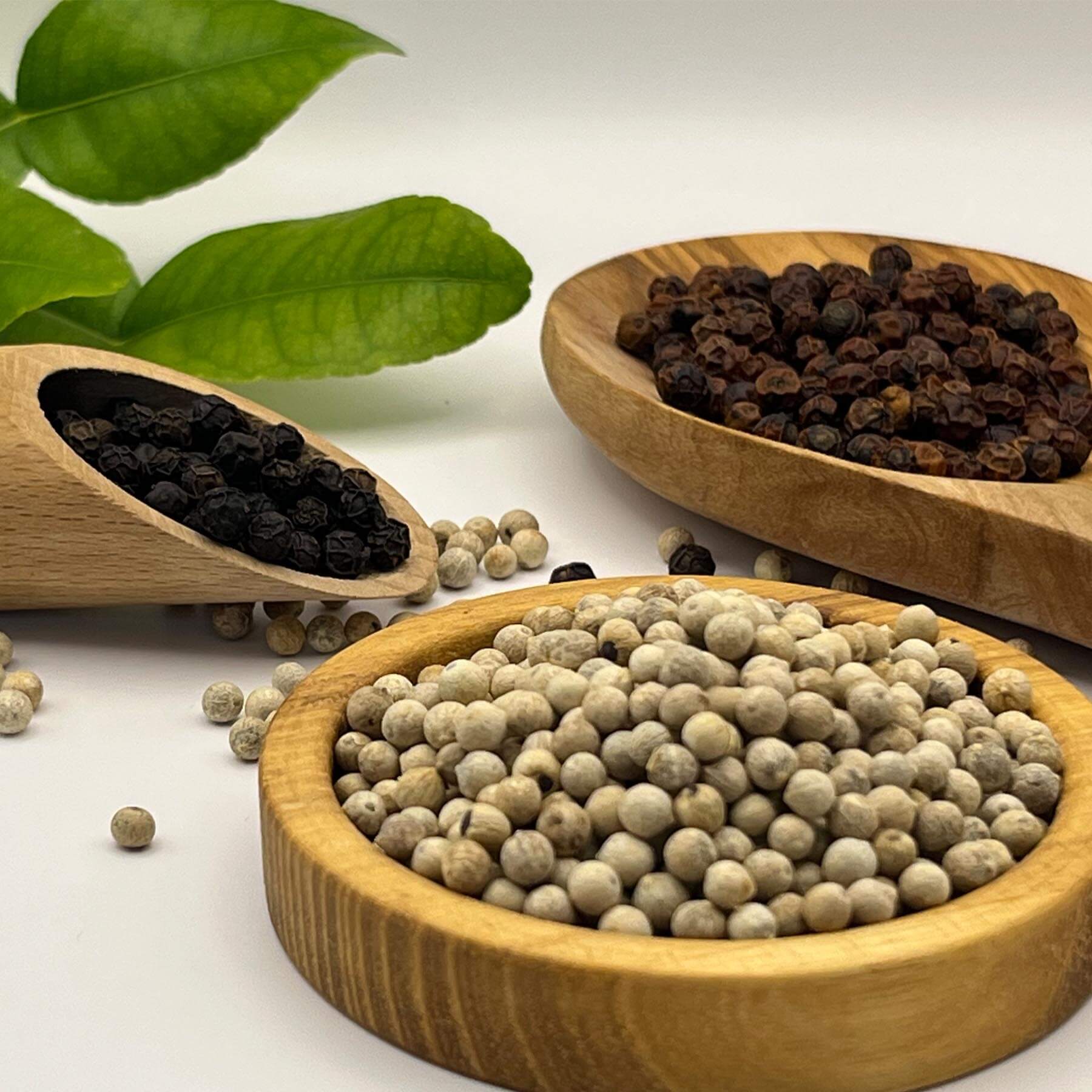 Kampot Pfeffer schwarz